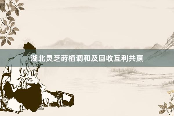 湖北灵芝莳植调和及回收互利共赢